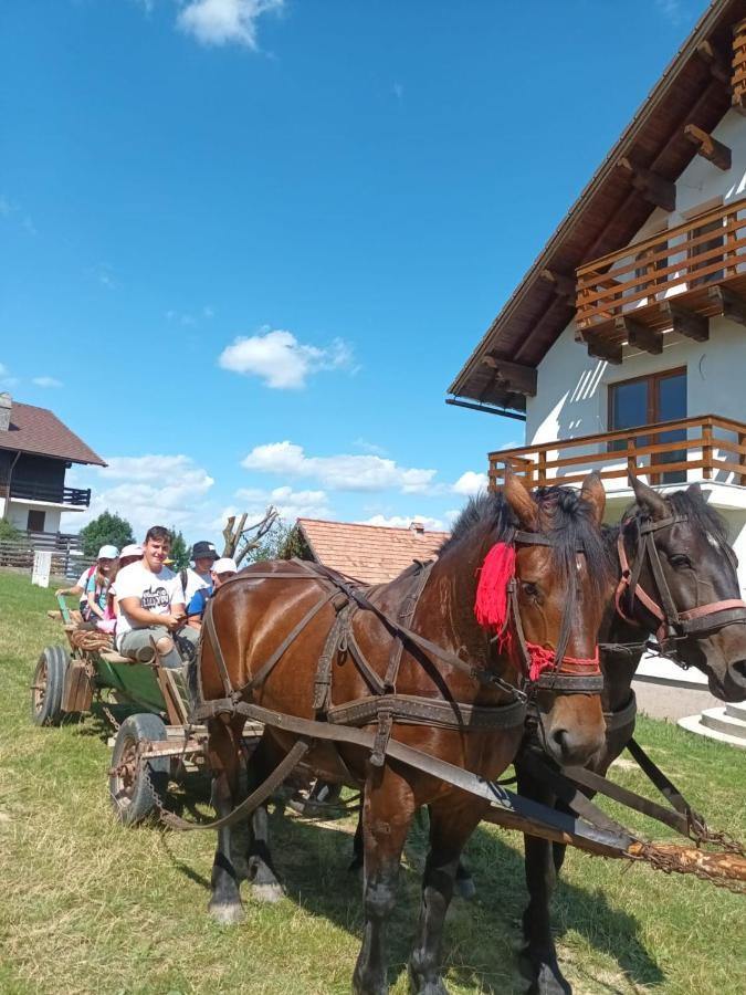 Casa Calea Haiducilor Sohodol  Екстериор снимка